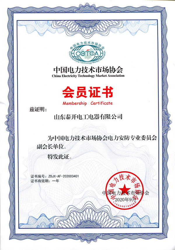 中國(guó)電力技術(shù)市場(chǎng)協(xié)會(huì)會(huì)員證書(shū)